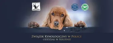 Grafika promocyjna wydarzenia 39. i 40. Podkarpacka Wystawa Psów Rasowych w Krośnie