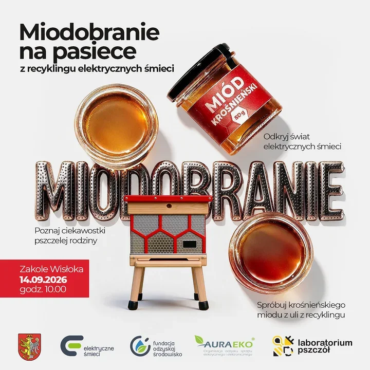 Stare pralki zamieniły się w ule. W Krośnie nadchodzi miodobranie