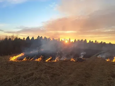 Wypalanie traw znowu wymyka się spod kontroli - Policja ostrzega
